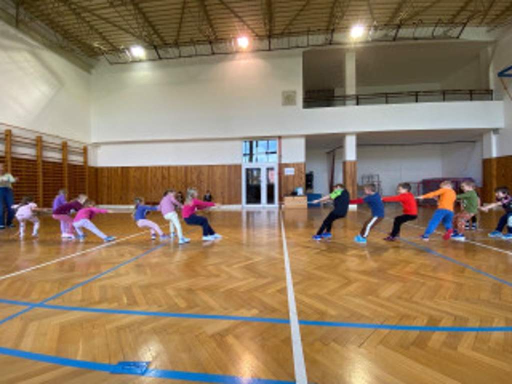 Vážky v tělocvičně