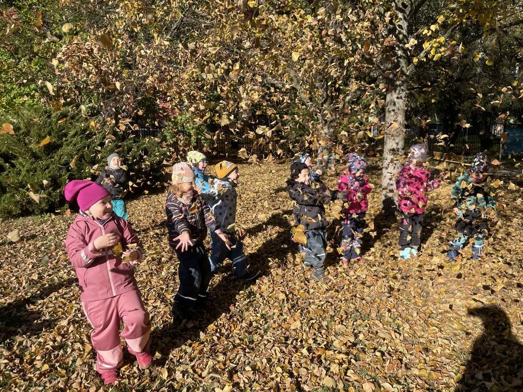 Kapříci a říjen venku