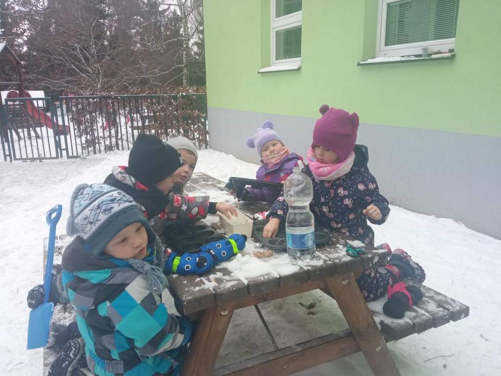 Leden u Včelek - Ledové formičky