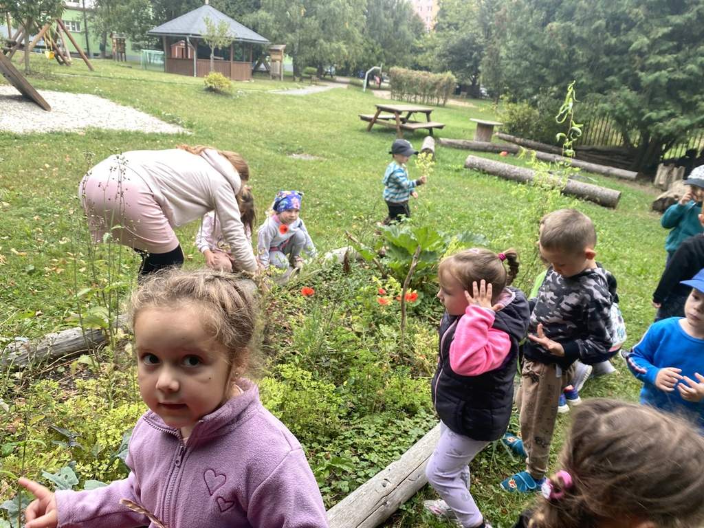 Broučci zase spolu