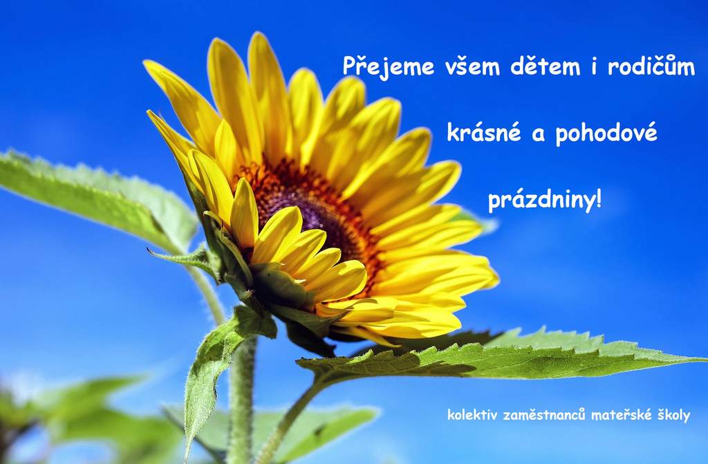 Hlavní obrázek akce